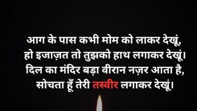 Love Shayari in Hindi
