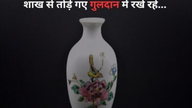 Life Shayari in Hindi