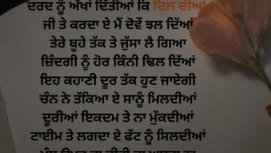 Shayari Pic in Punjabi