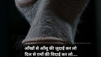Funny Shayari In Hindi