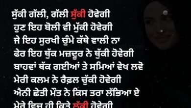 Punjabi Shayari Pic
