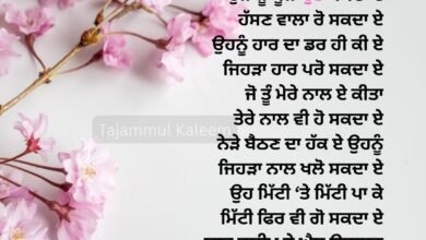 Punjabi Sad Shayari