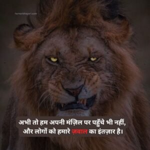 Attitude 2 Line Shayari in Hindi