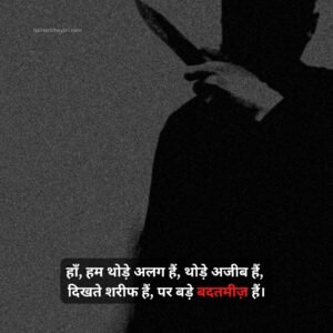 Brother Shayari in Hindi Attitude