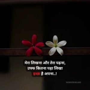 True Love Love Shayari