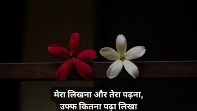 True Love Love Shayari