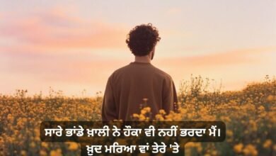 True Love Shayari In Punjabi