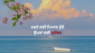Punjabi Shayari In Hindi Love