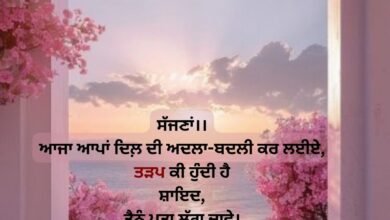 Shayari In Love Punjabi