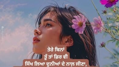 Shero Shayari Punjabi Love