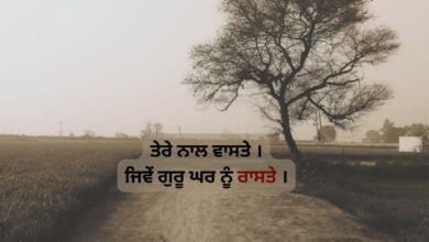Shayari In Love Punjabi
