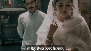 Fake Love Shayari In Punjabi