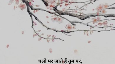 Love Shayari In Hindi For Boyfriend
