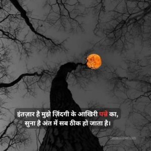 True Love Love Shayari