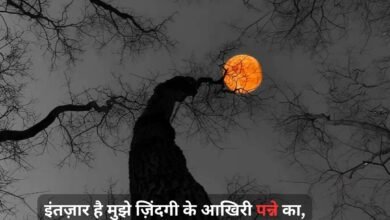 True Love Love Shayari