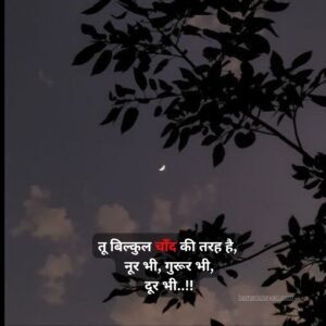 True Love Love Shayari