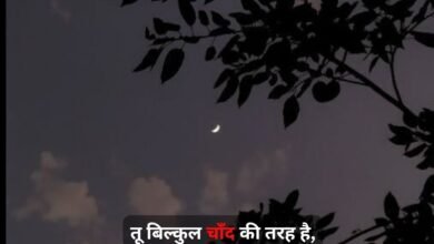 True Love Love Shayari