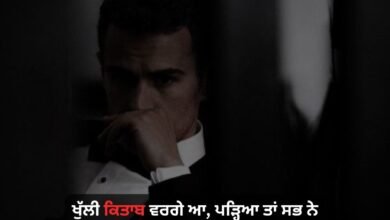 Shayari Punjabi Attitude