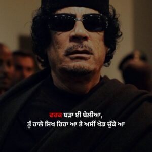 Punjabi Status Attitude
