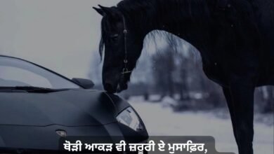 Boys Attitude Status In Punjabi