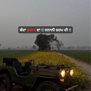 Attitude Status For Boys In Punjabi