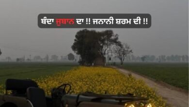 Attitude Status For Boys In Punjabi