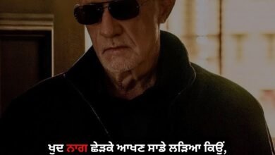 Punjabi Status Attitude Boy