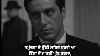 Attitude Status In Punjabi For Boy