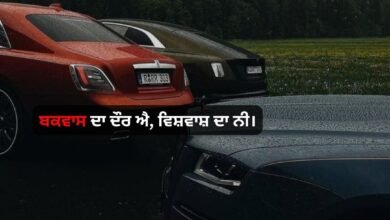 Attitude Meaning In Punjabi