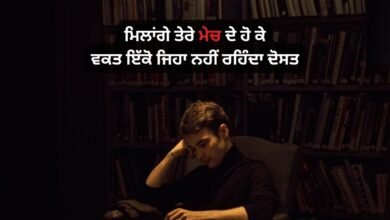 Punjabi Attitude Status