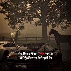 Punjabi Attitude Shayari