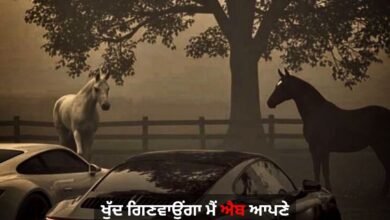 Punjabi Attitude Shayari