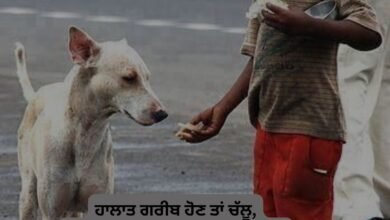 Punjabi Attitude Status For Boys